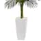 5ft. Potted Golden Cane Palm Tree in Decorative Planter